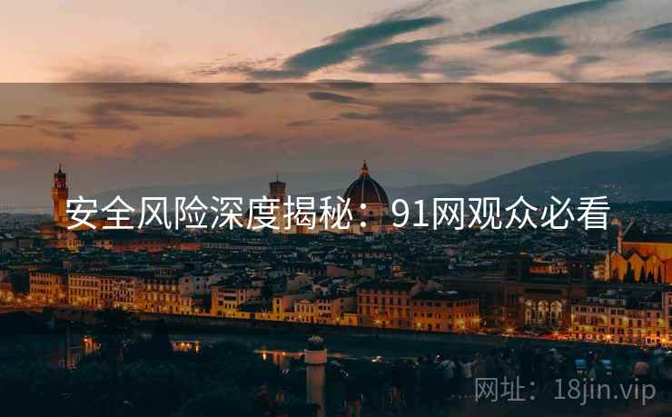安全风险深度揭秘：91网观众必看