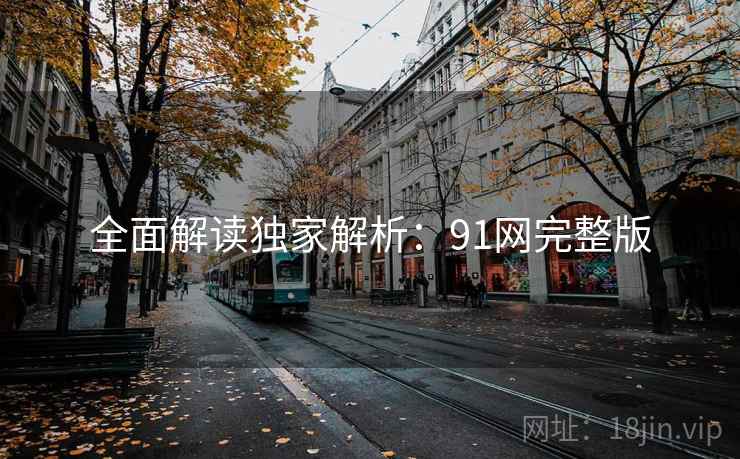 全面解读独家解析：91网完整版