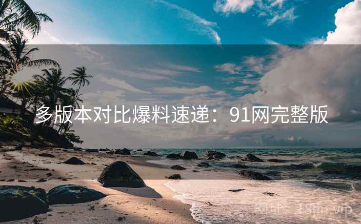 多版本对比爆料速递：91网完整版