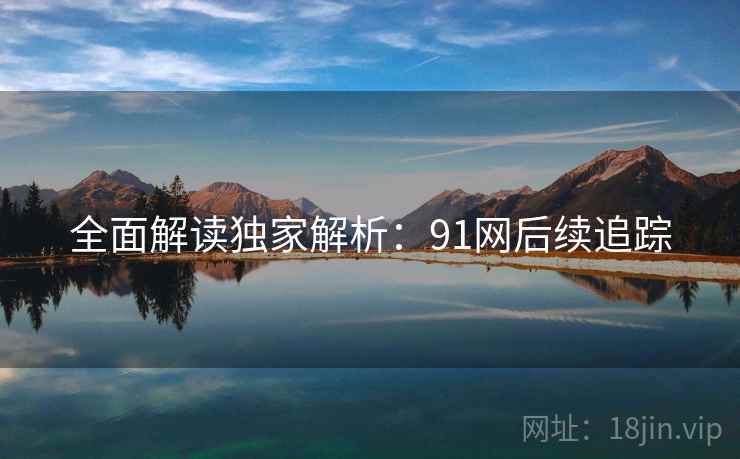 全面解读独家解析：91网后续追踪