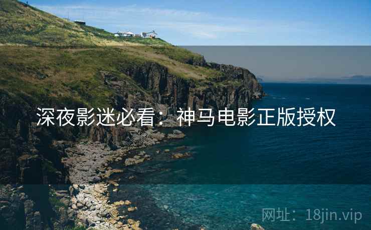 深夜影迷必看：神马电影正版授权