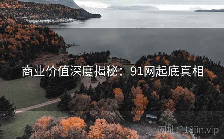 商业价值深度揭秘：91网起底真相