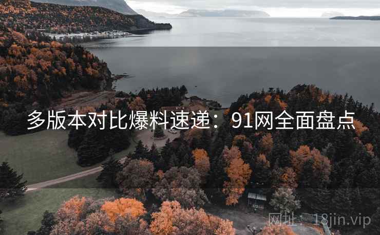 多版本对比爆料速递：91网全面盘点
