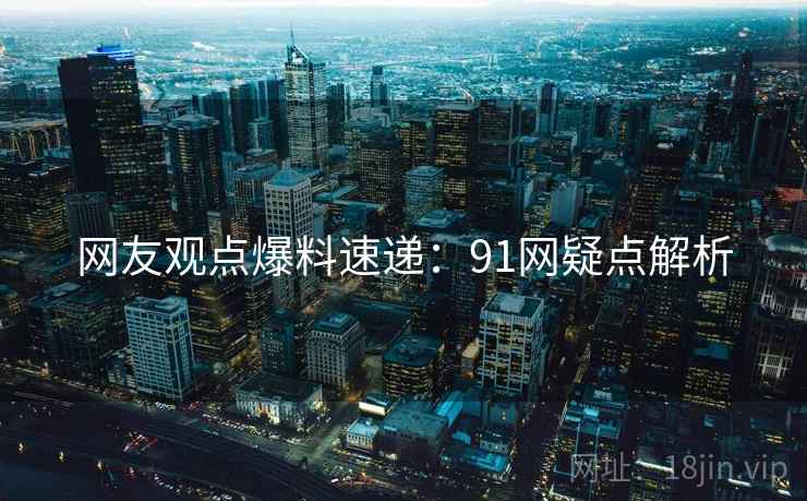网友观点爆料速递：91网疑点解析