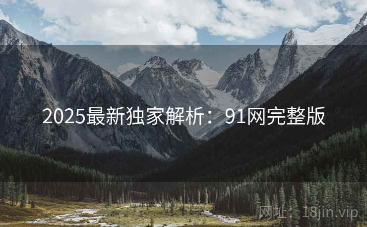 2025最新独家解析：91网完整版