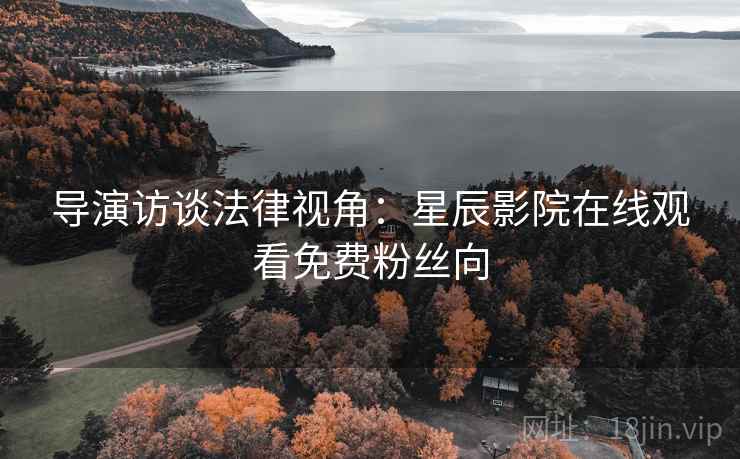导演访谈法律视角：星辰影院在线观看免费粉丝向